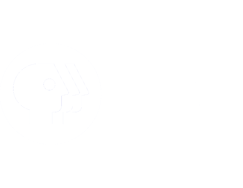 PBS logo